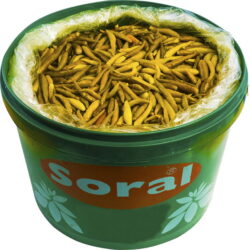 Soral Yakan Biber Turşu 16 Kg Kova fiyatı